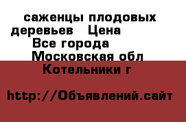 саженцы плодовых деревьев › Цена ­ 6 080 - Все города  »    . Московская обл.,Котельники г.